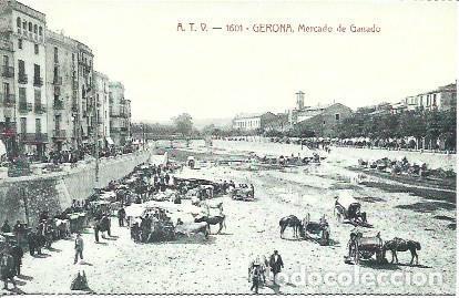 Postales: POSTAL A1816: Mercado del Ganado de Girona - Foto 1
