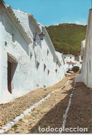 Cartoline: Postal E03383: Calle tipica de Mijas, M&aacute;laga - Varios
