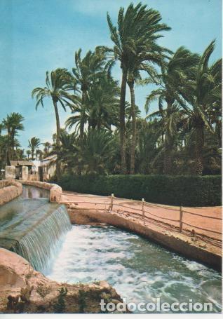 Postales: Postal E03413: Prque Municipal, Elche - Varios - Foto 1