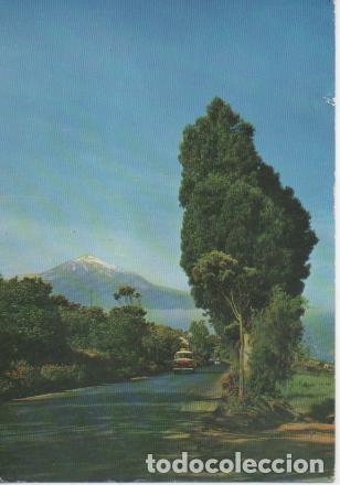 Cartoline: Postal E05341: Carretera del Norte, Tenerife - Varios