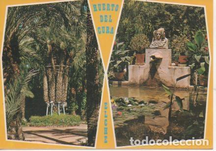 Postcards: Postal E05254: Im&aacute;genes del Huerto del Cura, Elche - Varios