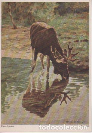 Postkarten: Postal E04881: Der Elch. Hans Schmidt - Varios