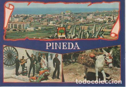 Postais: Postal E05201: Pineda de Mar - Varios