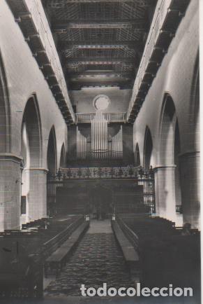 Postais: Postal E06360: Postal B/N Catedral. Organo y Artesonado. Teruel - Varios