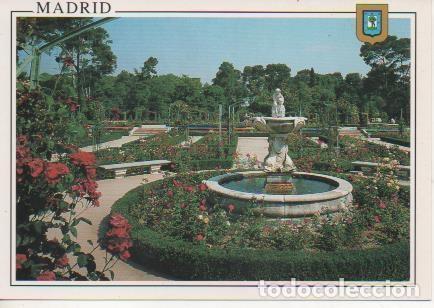 Postales: Postal E06186: Parque del Retiro. Rosaleda. Madrid - Varios