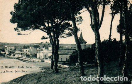 Postales: POSTAL PV03140: La Fosca Entre Pins, Palamos - NULL