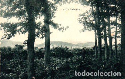 Cartes Postales: POSTAL PV03227: Paisatge a Olot - NULL