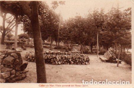 Cartoline: POSTAL PV03292: Canet de Mar.Vista general del Bosc-jardi - NULL