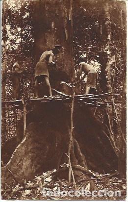 Postcards: POSTAL A2989: Hacheros de Guinea en Exposicion de Sevilla 1929 - NULL