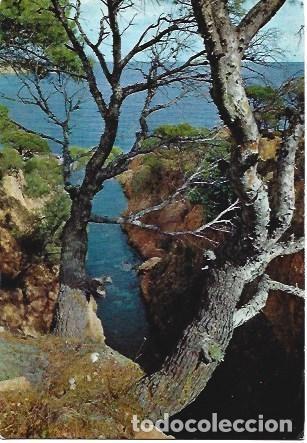 Cartes Postales: POSTAL L01244: Detalle de la Costa Brava, Girona - NULL