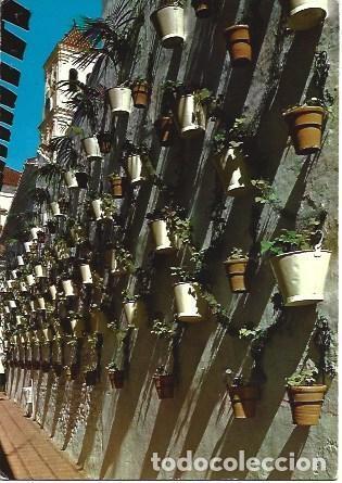 Cartes Postales: POSTAL L01147: Macetas en Marbella, Malaga - NULL