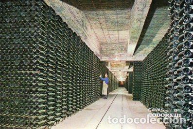 Postales: POSTAL PV04801: Publicidad Cavas Codorniu botellas envejeciendo - NULL