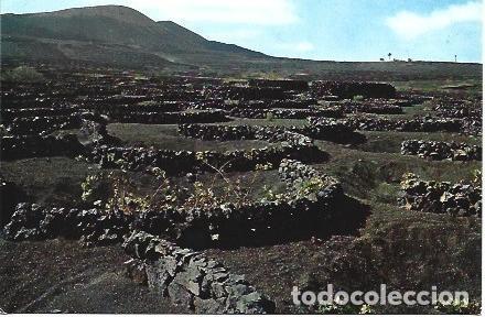 Postales: POSTAL L02554: La Geria en Lanzarote - Foto 1
