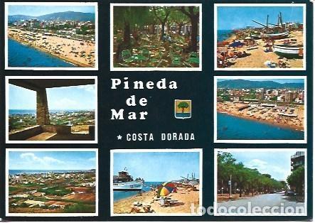 Cartoline: POSTAL L02400: Paisajes de Pineda de Mar - NULL