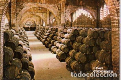 Postales: POSTAL PV04875: Publicidad Cavas Codorniu Una bodega - NULL