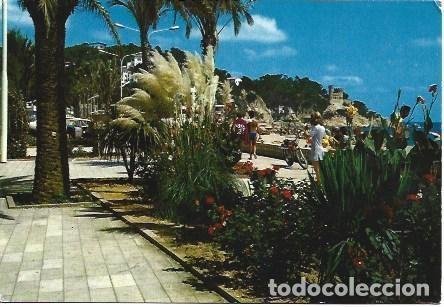 Postales: POSTAL L01775: Costa Brava. Lloret de Mar - NULL
