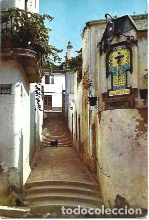 Postales: POSTAL L01695: Calle tipica de Canet de Mar - Foto 1