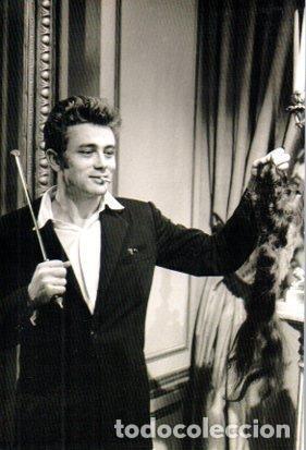 Postkarten: POSTAL PV05676: James Dean, n&ordm; 30257. 1982 James Dean Foundation - NULL