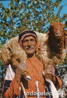 Postales: POSTAL PV05868: Shepherd, Bethleem - Foto 1