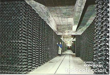 Postales: POSTAL PUBLICITARIA L01963: Cavas Codorniu - NULL