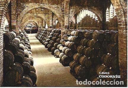 Postales: POSTAL PUBLICITARIA L01967: Cavas Codorniu. Bodega - NULL