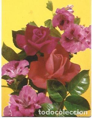 Postales: POSTAL L01877: Rosas - Foto 1