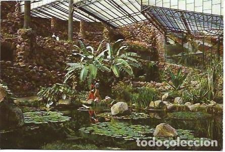 Postales: POSTAL L03339: Estufa Fria en Lisboa - NULL