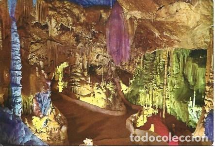 Postales: POSTAL L03298: Cuevas de Campanet en Mallorca - Foto 1