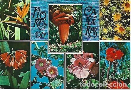 Postcards: POSTAL L03304: Flores en Canarias