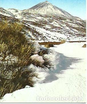 Postales: POSTAL L03197: Tenerife. El Teide - Foto 1