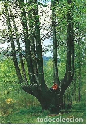 Postais: POSTAL L02644: Casta&ntilde;o de las nueve ramas en Viladrau, Girona - NULL