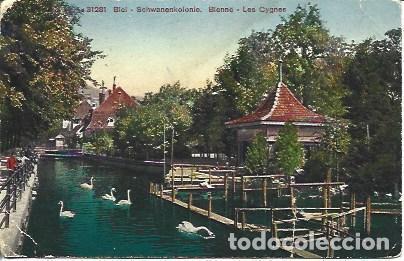 Postales: POSTAL A4450: Cisnes en Bienne - Foto 1