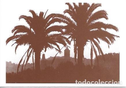 Postales: POSTAL A4312: Palmeras y vista de Girona - NULL
