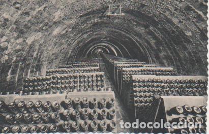 Postales: Postal E06943: Postal B/N Casa Codorniu-San Sadurn&iacute; de Noya (Espa&ntilde;a). Botellas en pupitre - Varios