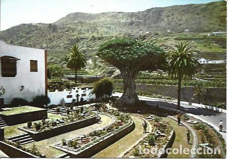 Postais: POSTAL A4359: El Drago de Icod, Tenerife - NULL