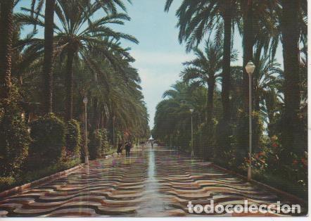 Postkarten: Postal E06923: Alicante.Explanada de Espa&ntilde;a - Varios