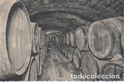 Postales: Postal E06939: Postal B/N. Casa Codorniu- San Sadurn&iacute; de Noya (Espa&ntilde;a). Vinos de crianza - Varios