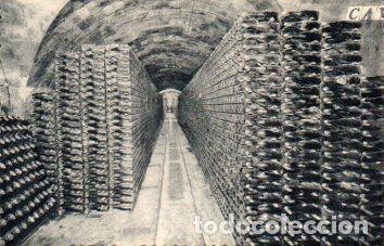 Postales: POSTAL PV06557: Cavas Codorniu. Botellas en cava (ver descripcion) - NULL