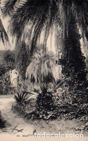Postais: POSTAL PV06996: Alger. Un Coin du Jardin d'Essai - NULL