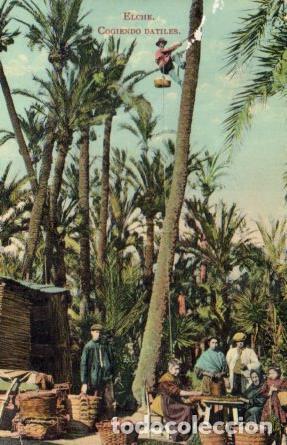 Postcards: POSTAL PV06267: Cogiendo datiles en Elche - NULL