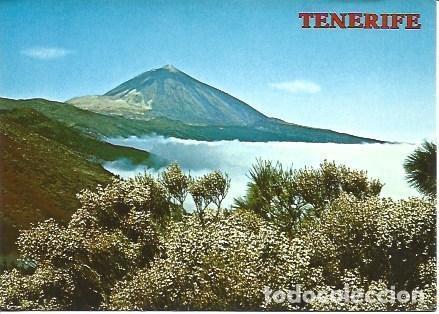 Postales: POSTAL L05196: Tenerife. El Teide - NULL