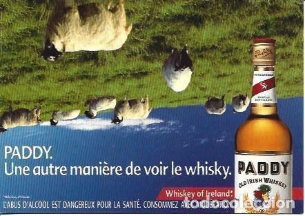 Postales: POSTAL A5610: Whisky Paddy - Foto 1