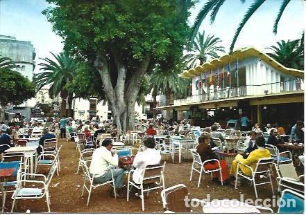Postais: POSTAL L05465: Plaza del Charco en Tenerife