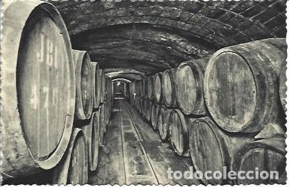 Postales: POSTAL L05386: Cavas Codorniu. Vinos en crianza - NULL