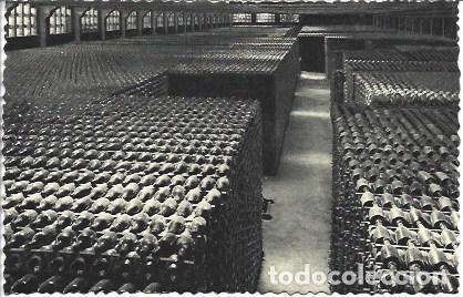 Postales: POSTAL L05387: Cavas Codorniu. Botellas envejeciendo - NULL