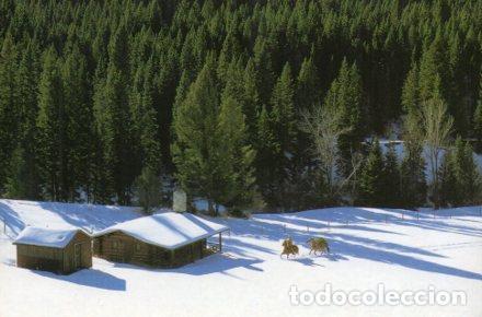Postales: POSTAL PV07219: Publicidad Marlboro World. Caballos sobre la nieve - NULL