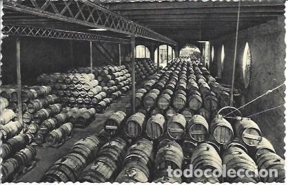 Postales: POSTAL L05382: Cavas Codorniu. Bodega - NULL