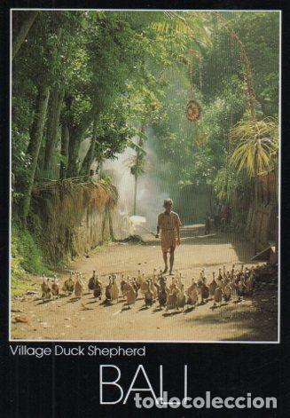 Postkarten: POSTAL PV07084: Village Duck Shepherd, Bali - NULL
