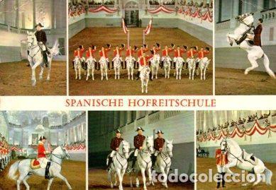 Postcards: POSTAL PV07617: Spanische Hofreitschule, Wien - NULL