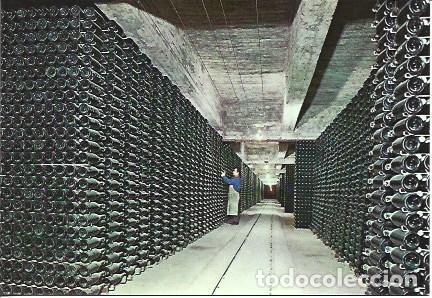 Postales: POSTAL L06015: Botellas en Bodegas Codorniu - NULL
